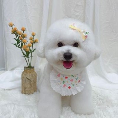 happpy.puppiesss