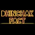 samzal-Dinchak Fact